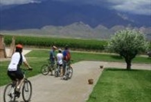 Uco Valley Bike & Wine Tour